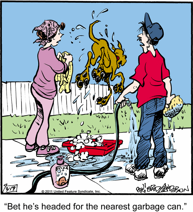 marmaduke